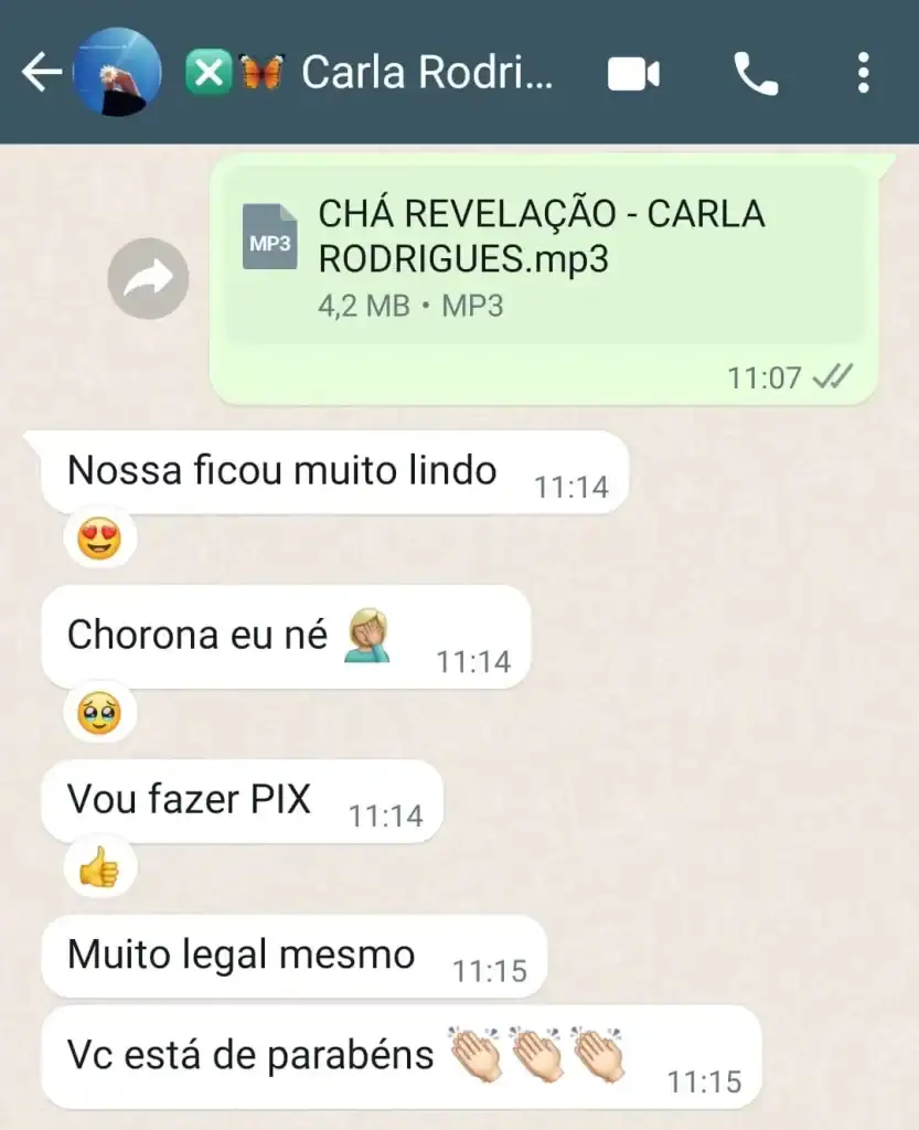 Musica para Cha Revelação Personalizada - Depoimentos 20