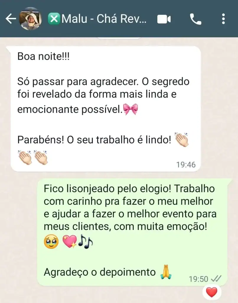 Musica para Cha Revelação Personalizada - Depoimentos 17
