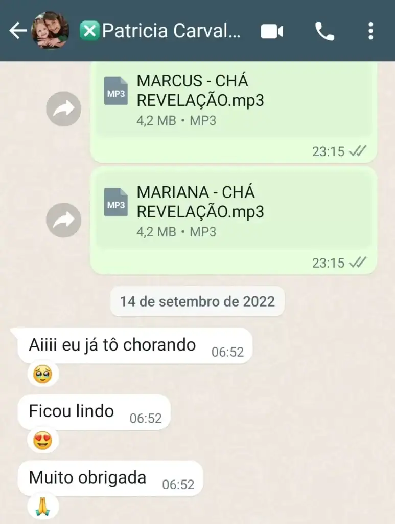 Musica para Cha Revelação Personalizada - Depoimentos 14