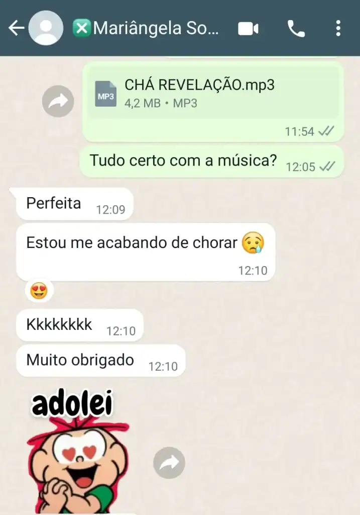 Musica para Cha Revelação Personalizada - Depoimentos 13