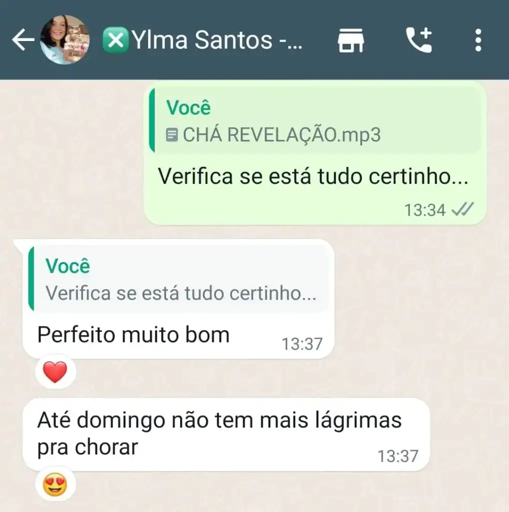 Musica para Cha Revelação Personalizada - Depoimentos 11