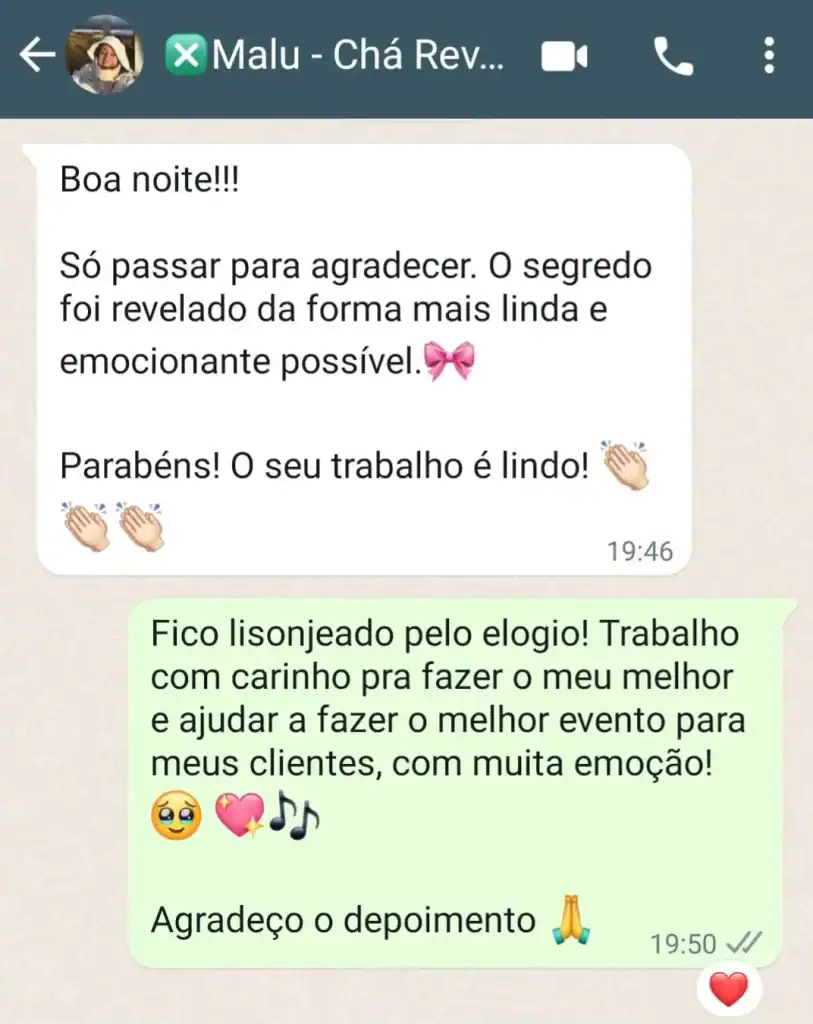 Musica para Cha Revelação Personalizada - Depoimentos 4